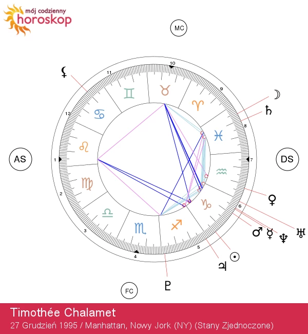 Odkryj cechy koziorożca Timothée Chalameta: Wnikliwe spojrzenie na astrologię!